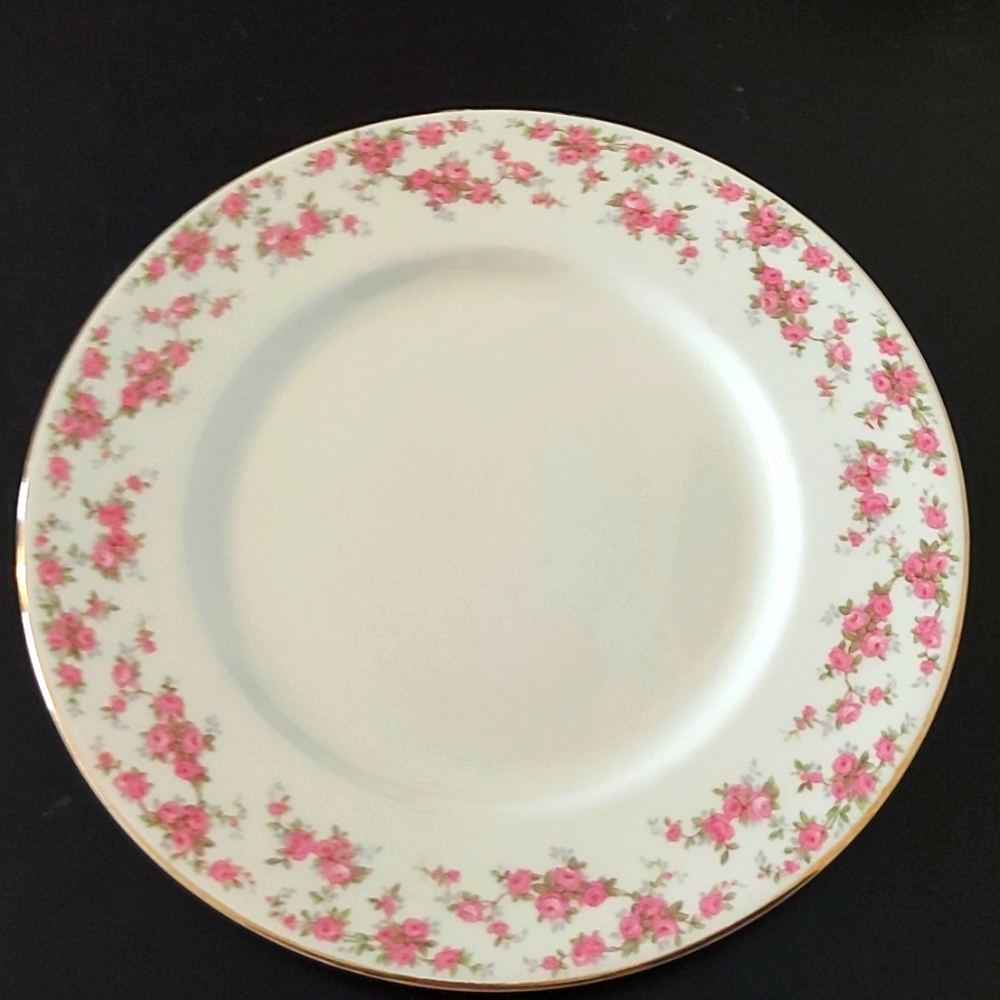 Vintage Myott Staffordshire England Dinner Plate in Bride's Bouquet Pattern